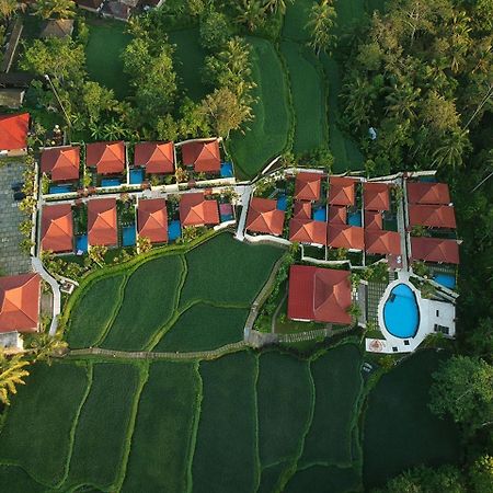 Vrindavan Ubud Villa Tegallalang  Exteriér fotografie