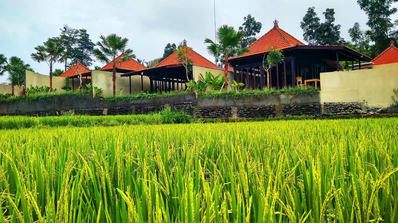 Vrindavan Ubud Villa Tegallalang  Exteriér fotografie