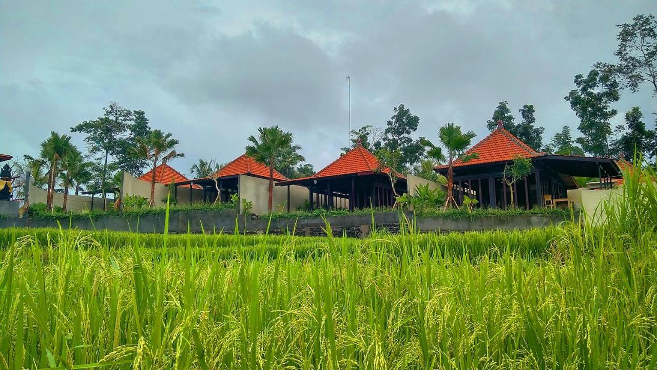 Vrindavan Ubud Villa Tegallalang  Exteriér fotografie