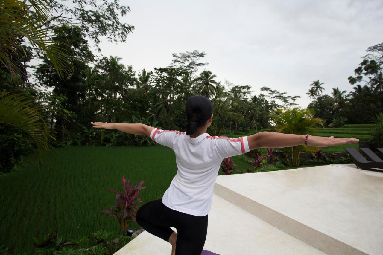 Vrindavan Ubud Villa Tegallalang  Exteriér fotografie