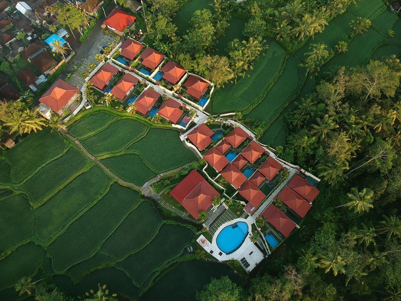 Vrindavan Ubud Villa Tegallalang  Exteriér fotografie