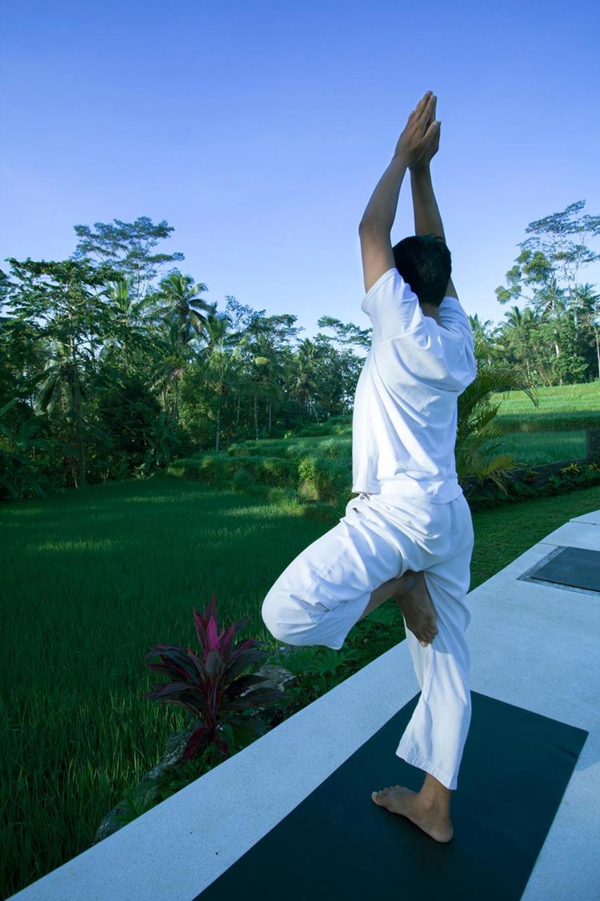 Vrindavan Ubud Villa Tegallalang  Exteriér fotografie