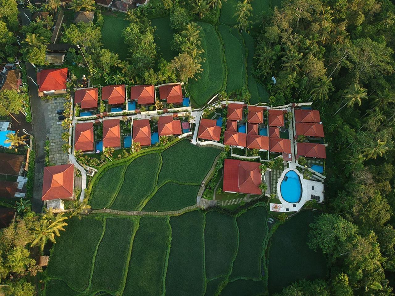 Vrindavan Ubud Villa Tegallalang  Exteriér fotografie