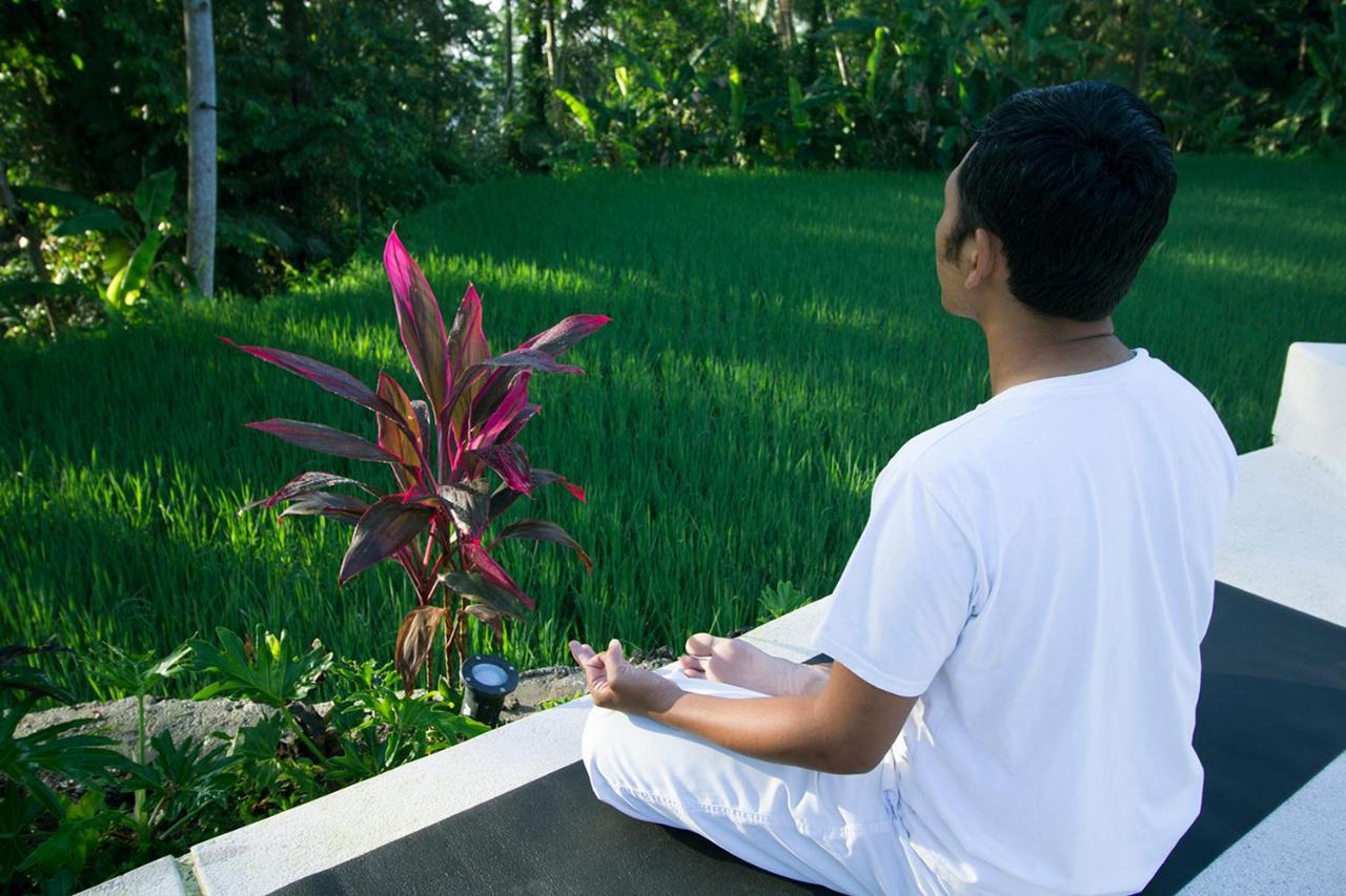 Vrindavan Ubud Villa Tegallalang  Exteriér fotografie