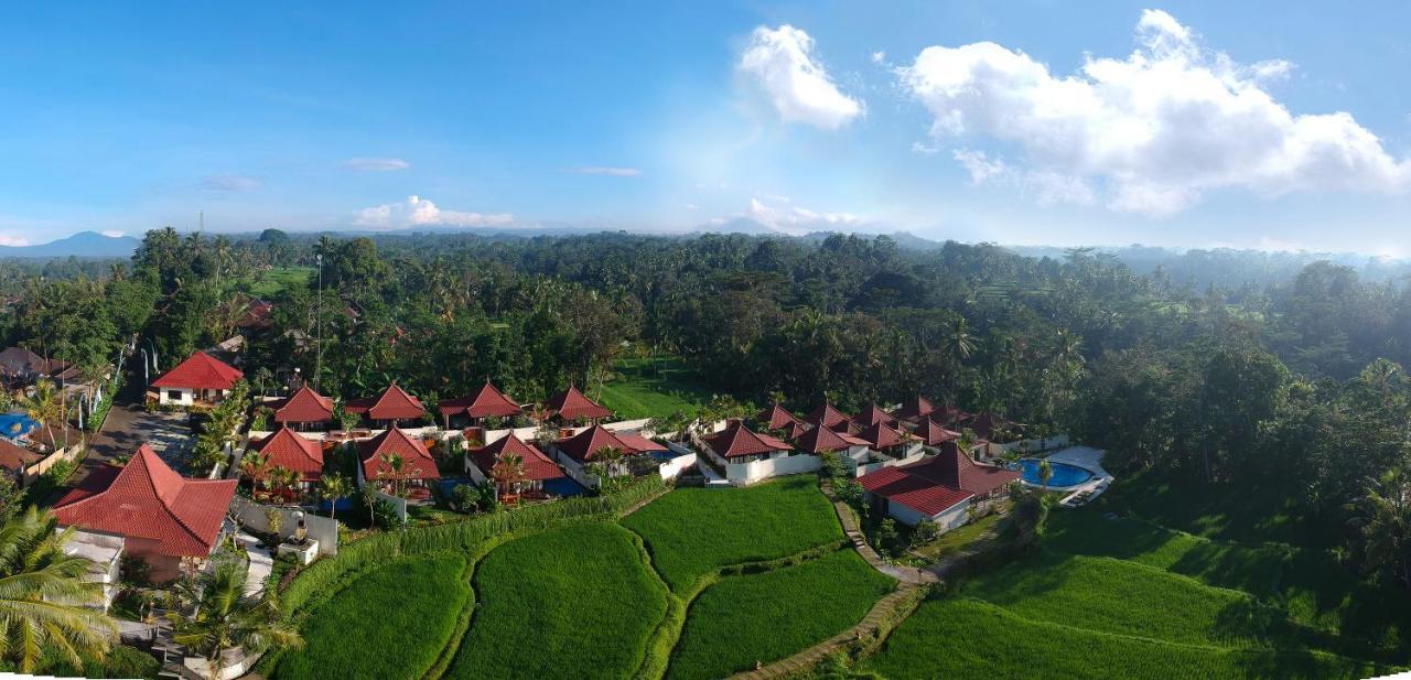 Vrindavan Ubud Villa Tegallalang  Exteriér fotografie